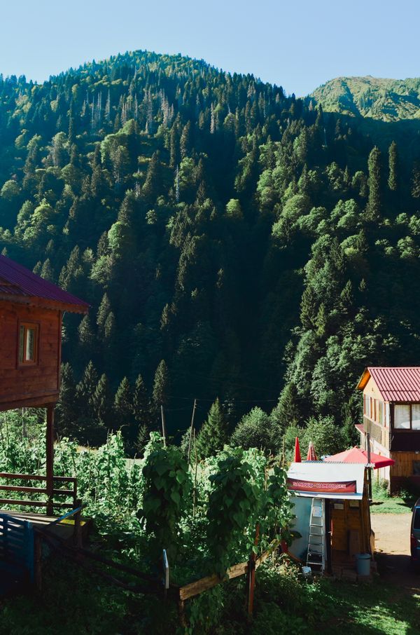 borjomi cottages